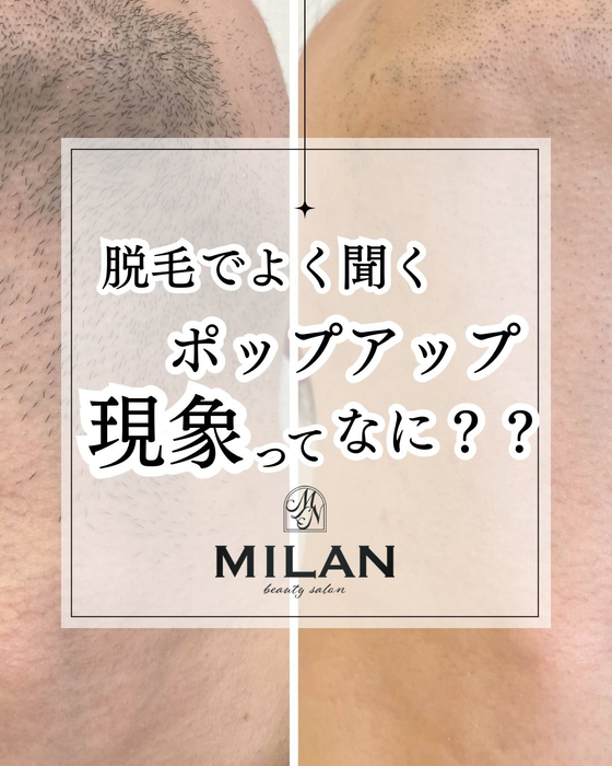 画像483