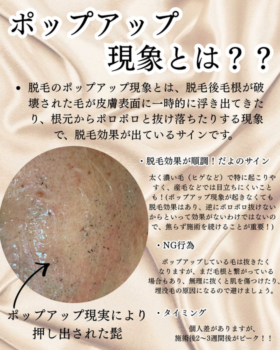 画像484